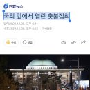 국회 앞에서 열린 촛불집회 이미지