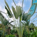 수누피공원 이미지