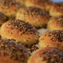 로바로 행정사 사무소 이미지