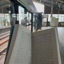 아포작동길 | 25.09.13 독쑤기미 | 네드 보먼 | 황금가지
