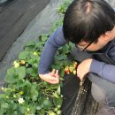 지윤농장 이미지