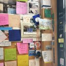 김밥천국 묵호점 | 묵호는 왜 묵호인지 무코싶어