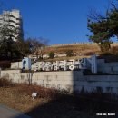 전시 : 崇禮門 _ 숭례문, 다시 세우다