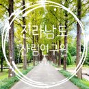 전남 나주 가볼만한곳 메타세콰이어길 산림자원연구소 방문후기