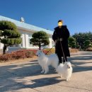 호리;휴 이미지