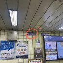 셀루닉하우스 강서점 이미지