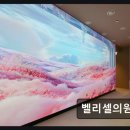 셀클리닉의원 | 서초 강남역 피부과 프리미엄 벨리셀의원 1인실 맞춤 케어와 세심한 상담