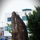 덕산성당 앞 이미지