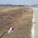 윤지농장 이미지