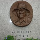 정치망 체험 Daum카페