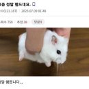 포토시그니처송탄점