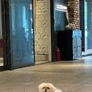 (주)서우건설 | [인테리어]25평 아파트 인테리어, 인테리어 업체 선정하기(디자인 서우)