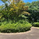 월례근린공원 이미지