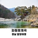 풍류이름소 | 함양 &#39;화림동 계곡&#39; - 조선 선비의 풍류를 따라 흐르는 물길