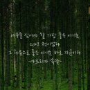 동해면사무소 이미지