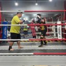 프뉴마 킥복싱, 태권도 이미지