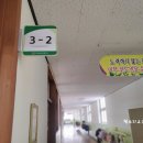 인천효성동초등학교 이미지