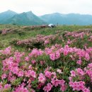 제 228 차 전남화순 안양산 ＜853m＞ 산행안내 이미지