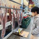 양포문어 이미지