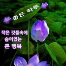행복한하루 이미지