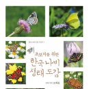 황소와나비 이미지