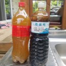 행복한 굼벵이 마을 이미지