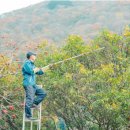 순도 이미지