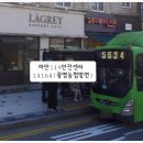 청솔참복