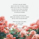 나날 이미지