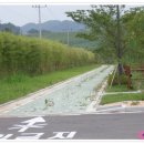 김천부항댐산내들오토캠핑장 이미지