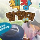 곡성 돌담집 이미지
