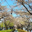 양지천2 이미지