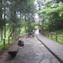 생이소리 이미지