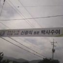 하신기 Daum카페