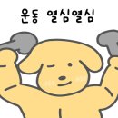 연화정 삼계탕 이미지