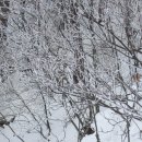 대공원역2번출구 이미지