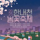 봄을담다 이미지