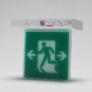 동방전자 이미지