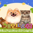 제이엠물류 이미지
