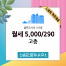 신성공인중개사사무소 이미지