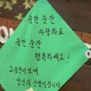 시온카서비스 | 돼지 같다고여? 네 마자여.