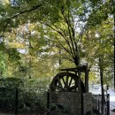 월영연못공원 이미지