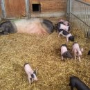 방축농장 이미지