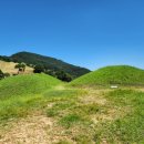 대가야식당 이미지