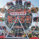 국화공원 | 가을빛 향기, 국화로 물들다. 댑싸리 2025 양산 황산공원 국화축제 후기