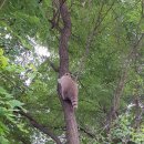 마린자동차정비 이미지