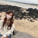 댕댕이쁘띠샵 네이버블로그