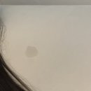 선린이의 선재업고튀어 후기