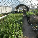 나무네농장 이미지