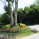 순천만국가정원(서문) 이미지